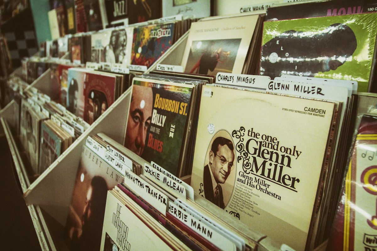 Schallplatten mit sichtbaren Covern in einem Ladenregal